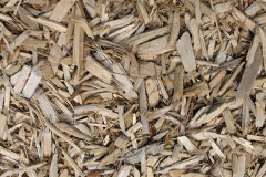 biomass boilers Pencarnisiog